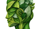 Interaktiver Vortrag  «Natur. Klima. Psyche» am 15. Oktober 2026