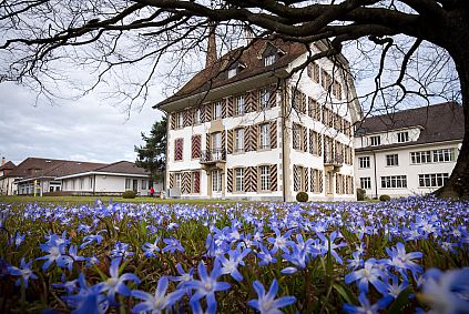 Schloss mit Blaustern