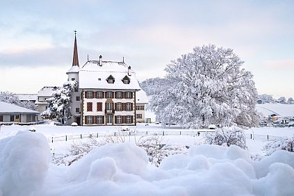 Schloss im Winter